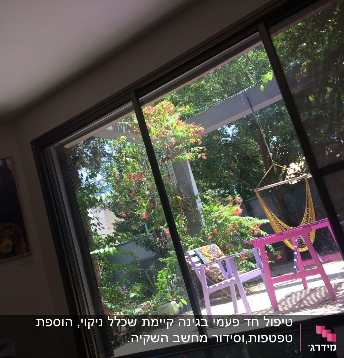 גינה עם צמחים ירוקים ופרחים צבעוניים